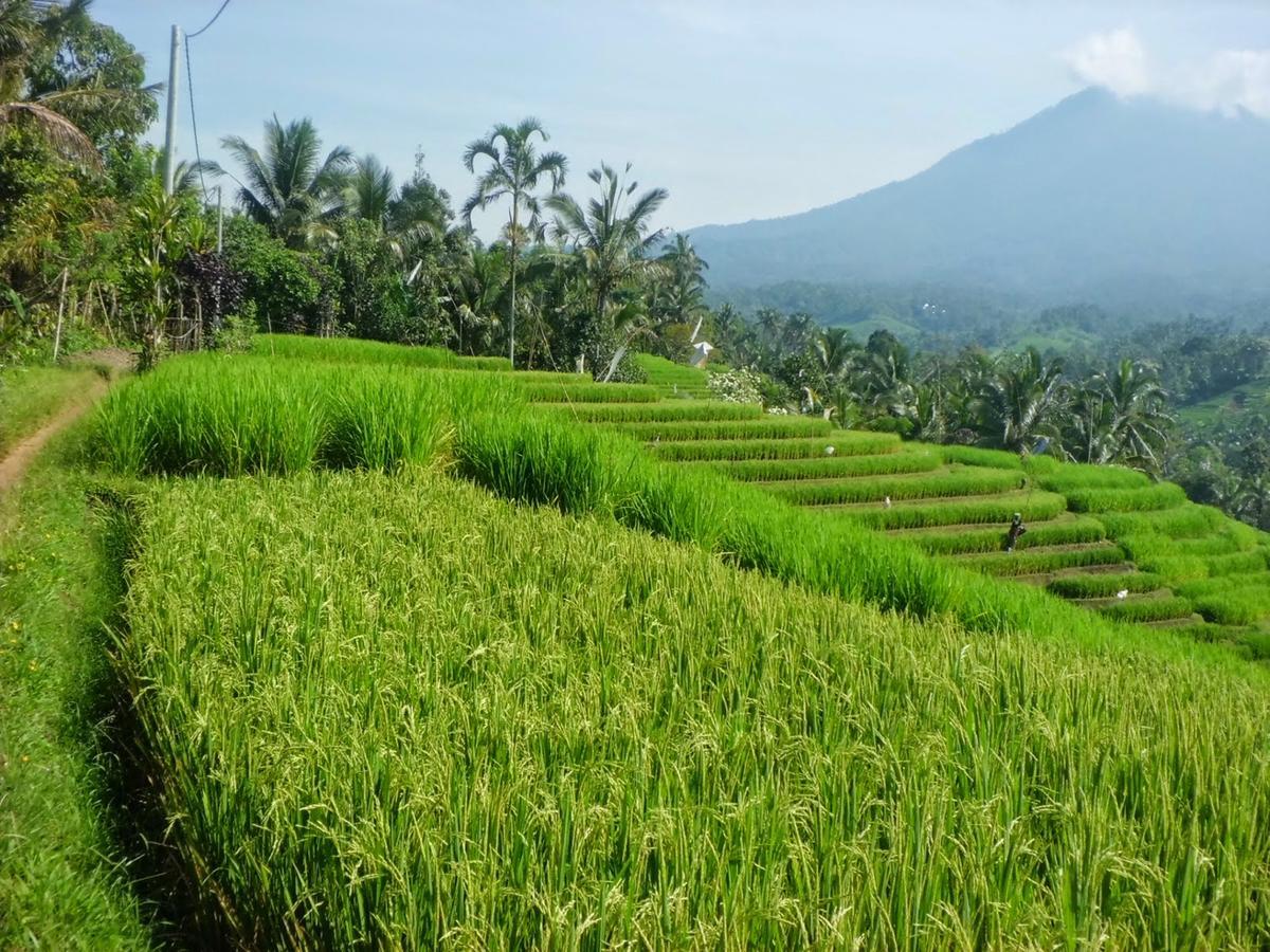 Zen Rooms Basic Kuta Kubu Anyar Exterior photo